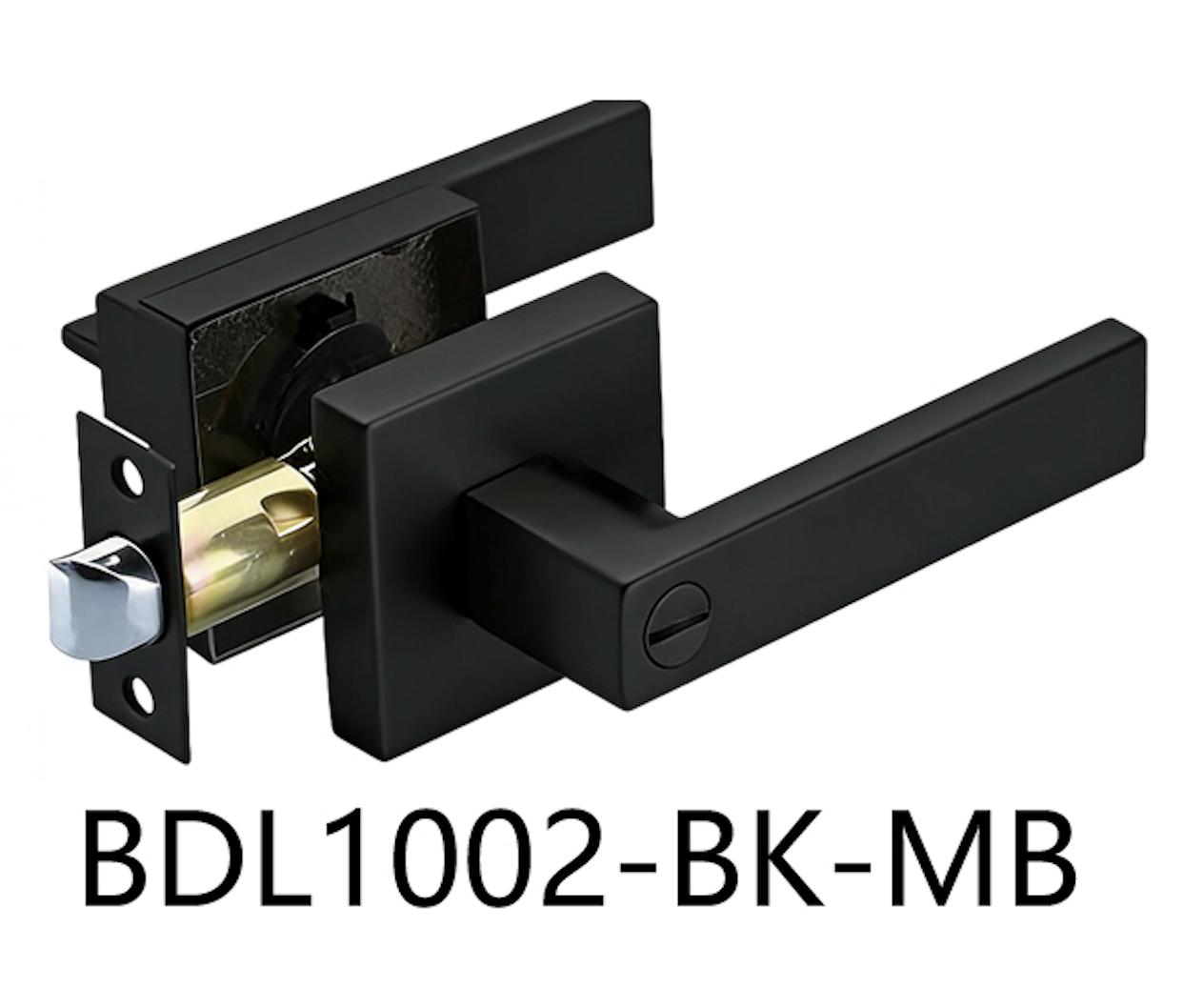 Square Privacy Door Handle (BDL1002-BK)