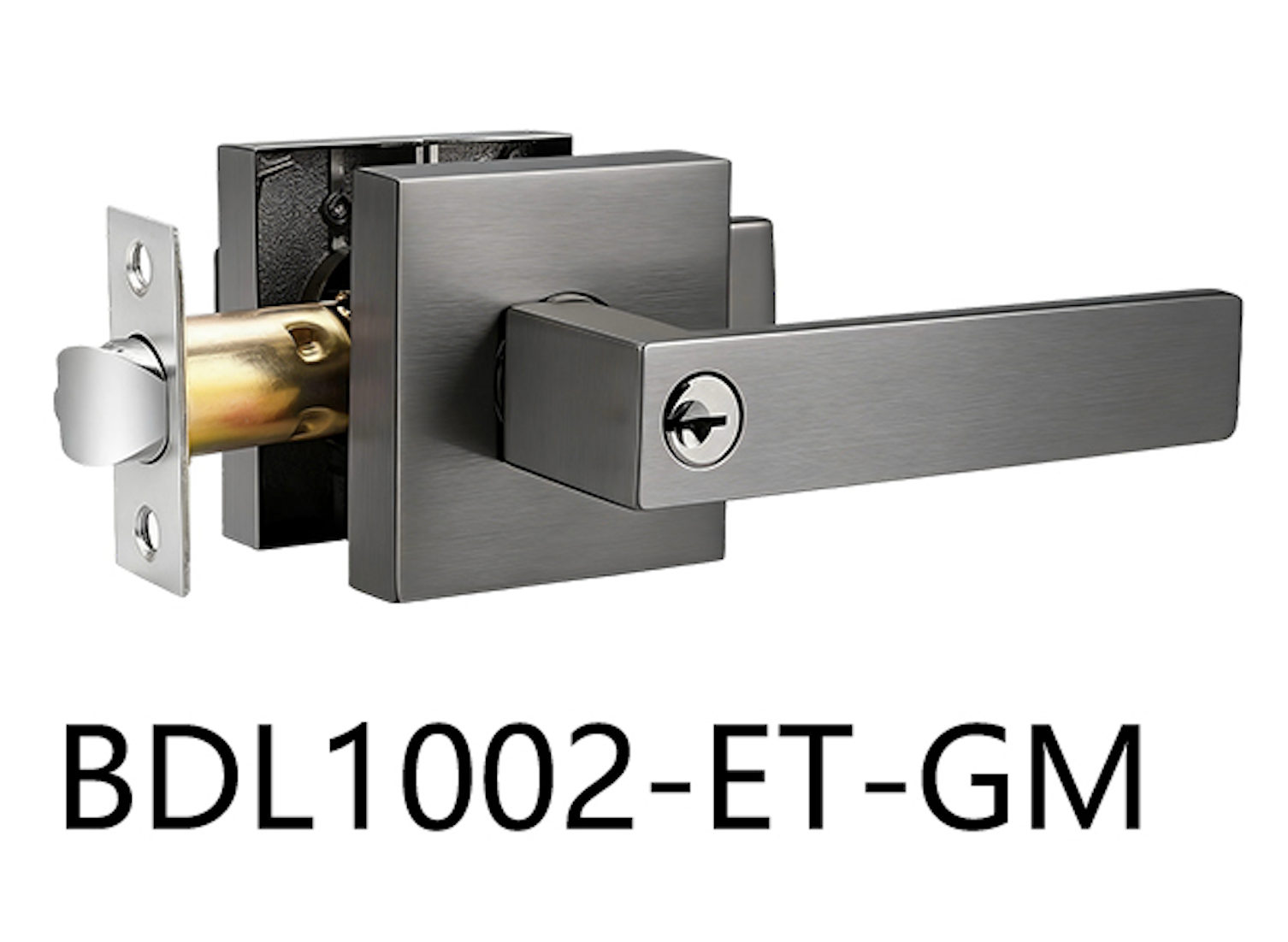 Square Entrance Door Handle (BDL1002-ET)