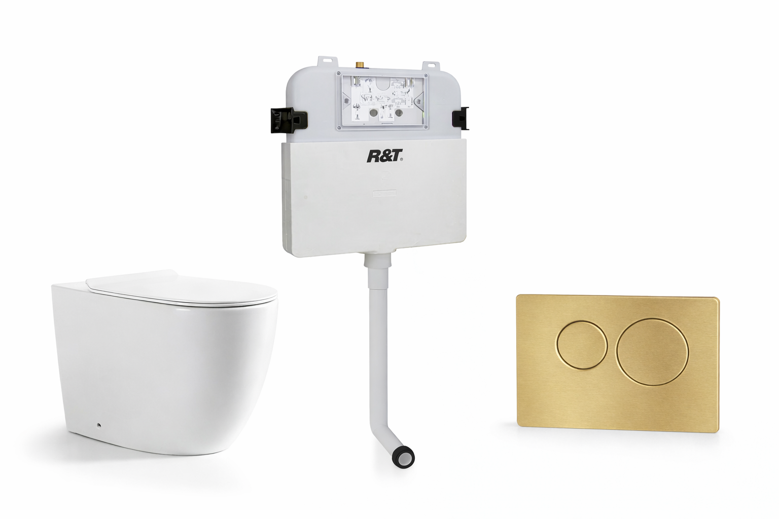 Torina Rimless in-wall rimless Pan Toilet