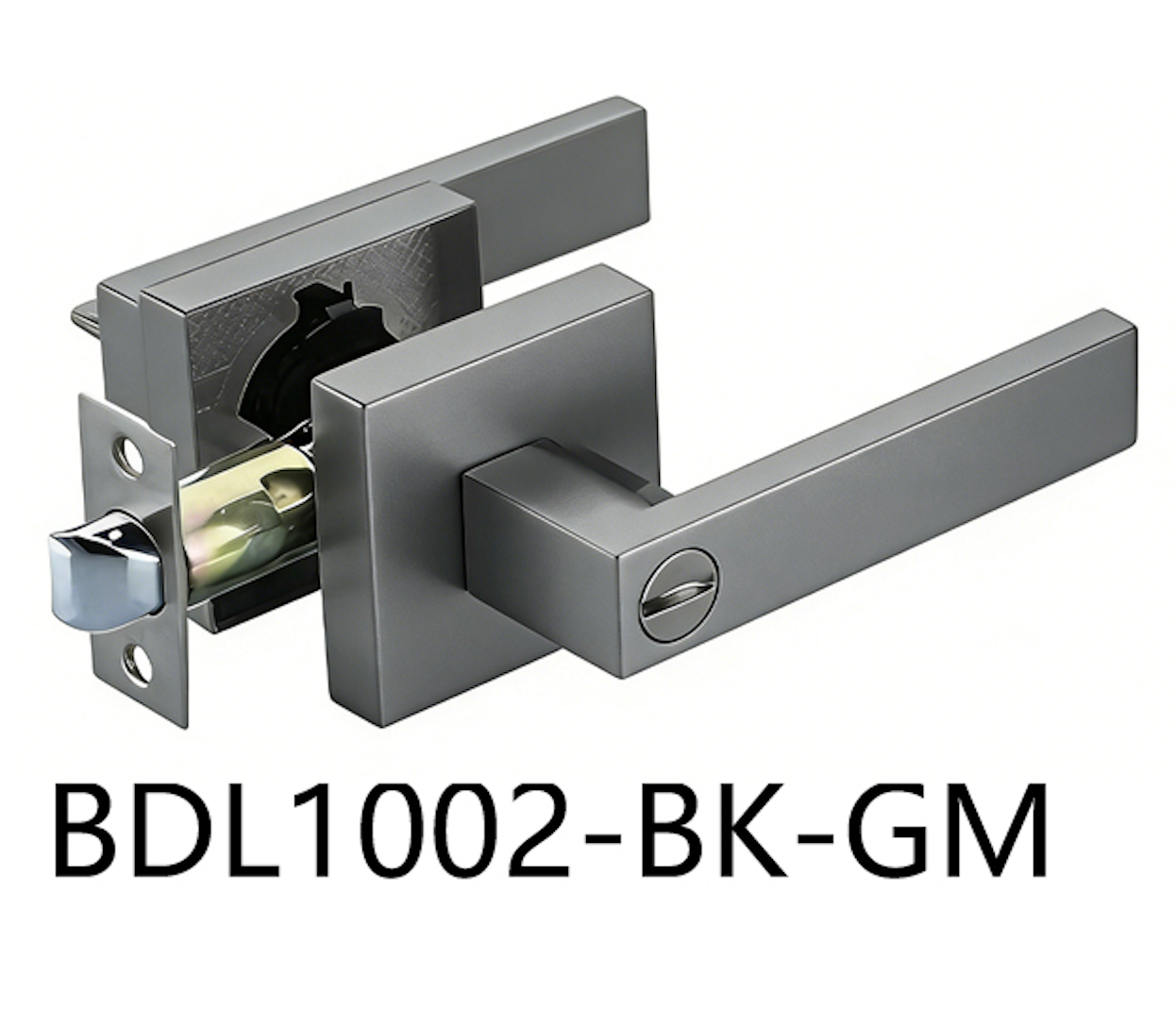 Square Privacy Door Handle (BDL1002-BK)