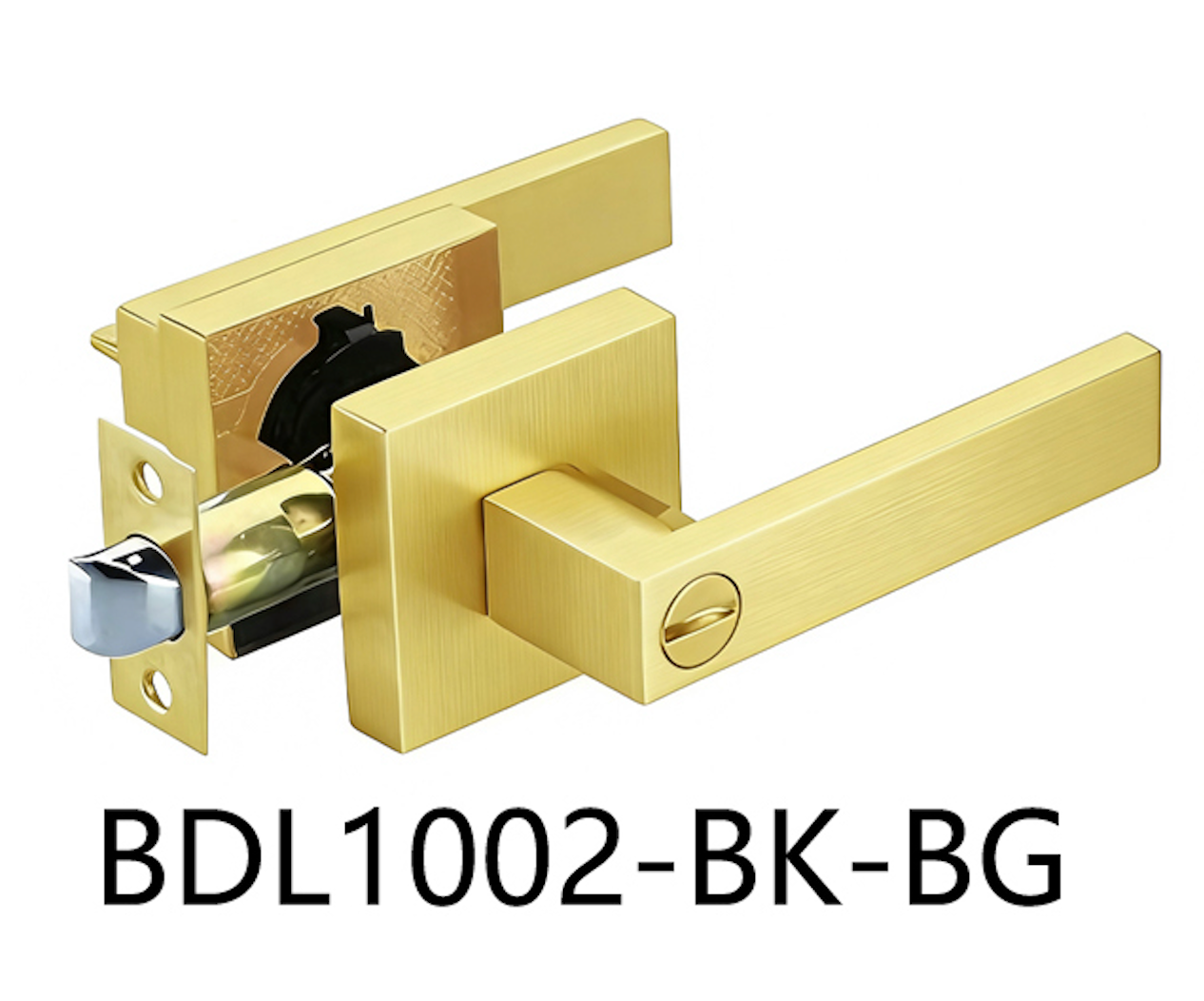 Square Privacy Door Handle (BDL1002-BK)