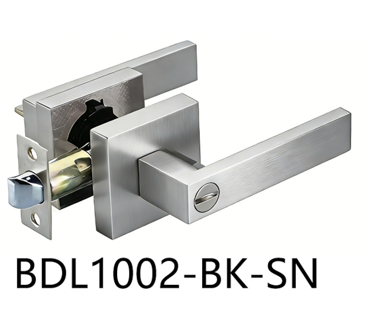 Square Privacy Door Handle (BDL1002-BK)