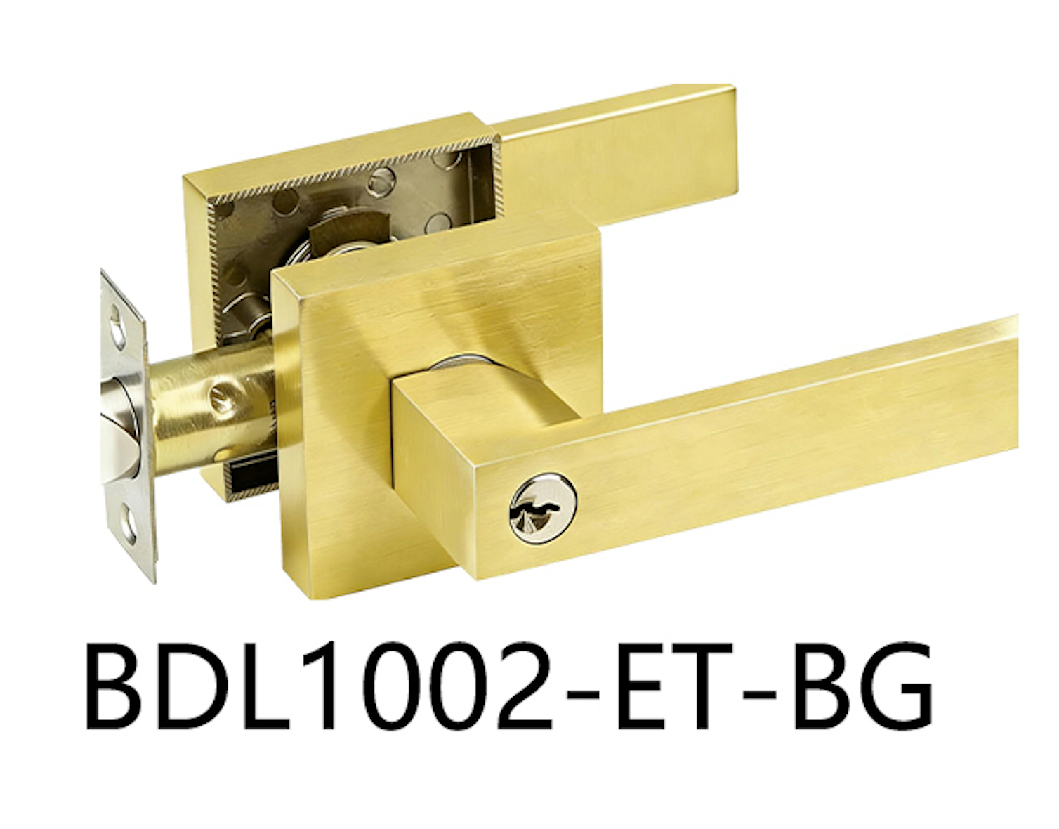 Square Entrance Door Handle (BDL1002-ET)
