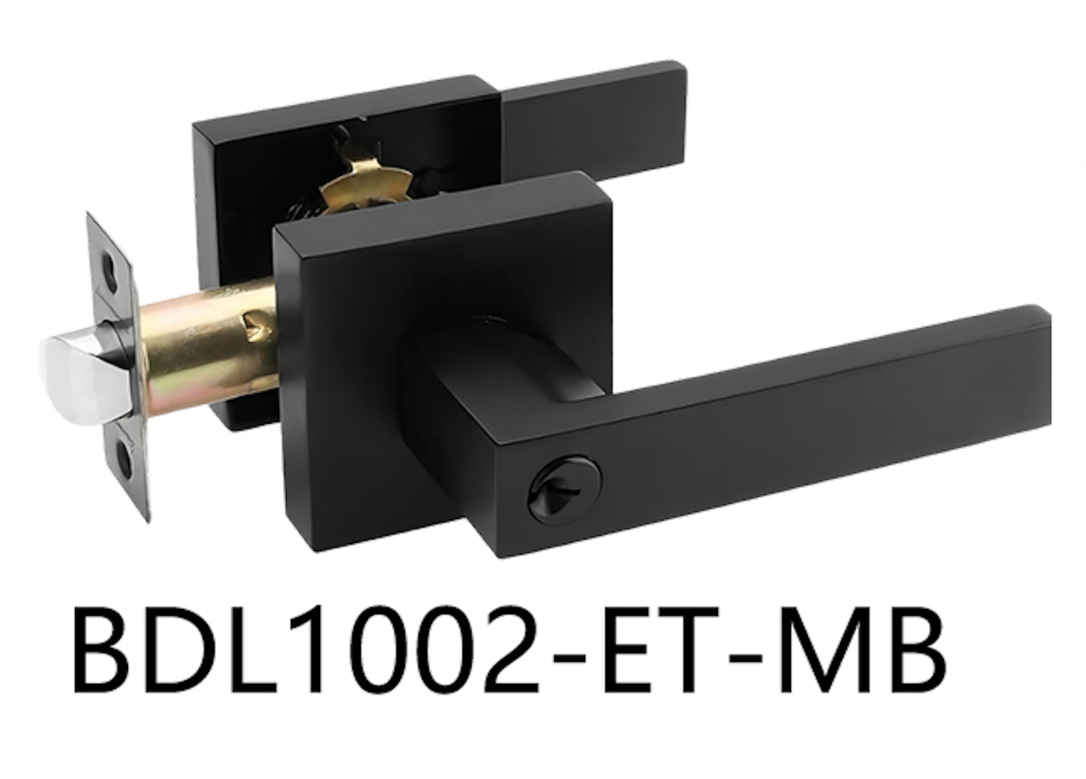Square Entrance Door Handle (BDL1002-ET)