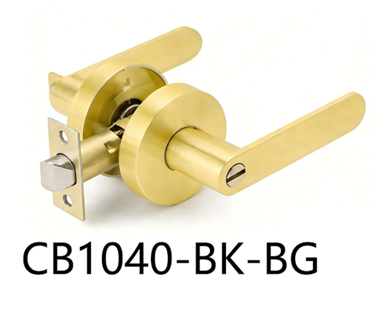 Round Privacy Door Handle (CB1040-BK)