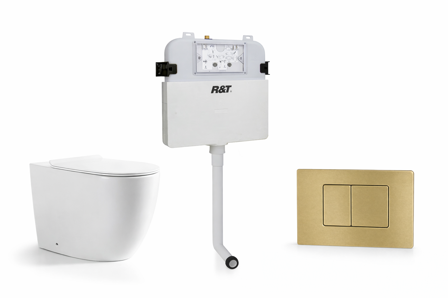 Torina Rimless in-wall rimless Pan Toilet