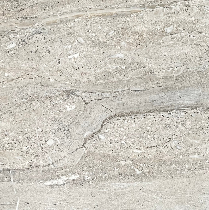 AmazingTiles Dyna Griss Gloss Porcelain Floor and Wall Tile — 600x600mm