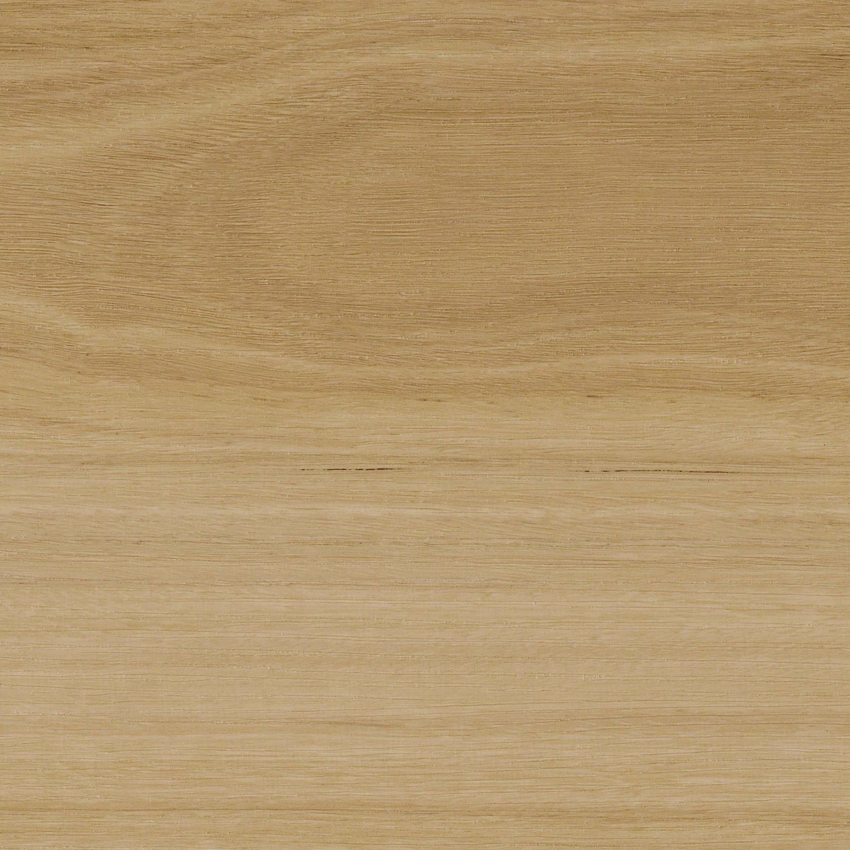 DION Hybrid Flooring Collections — DION 05 New Blackbutt, 100% Waterproof & Scratch-Resistant