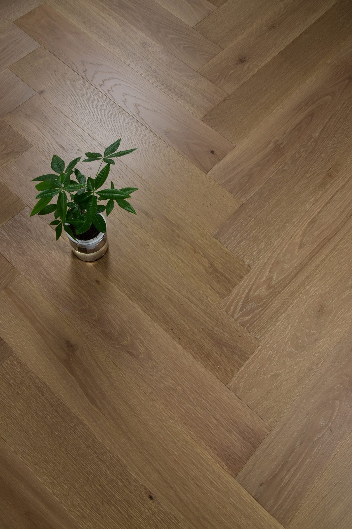 Roman Grey – European Oak Parquetry Herringbone